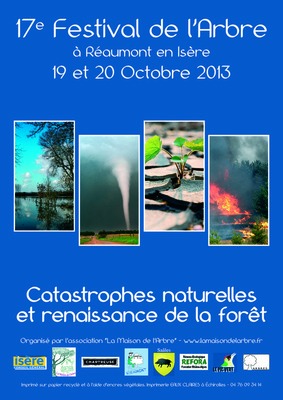 affiche_festival_2013