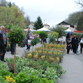 fete_des_plantes_2014_062