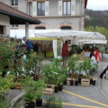 fete_des_plantes_2014_258