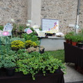 fete_des_plantes_2014_262