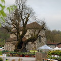 fete_des_plantes_2014_dimanche_002