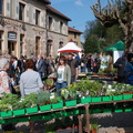 fete_des_plantes_2014_dimanche_286