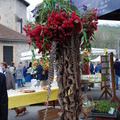 fete_des_plantes_2014_dimanche_199