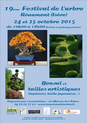 affiche_festival_2015