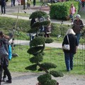 festival_de_l_arbre_24_10_2015_100