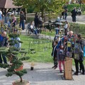 festival_de_l_arbre_24_10_2015_101