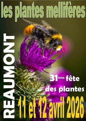 affiche_d_finitive